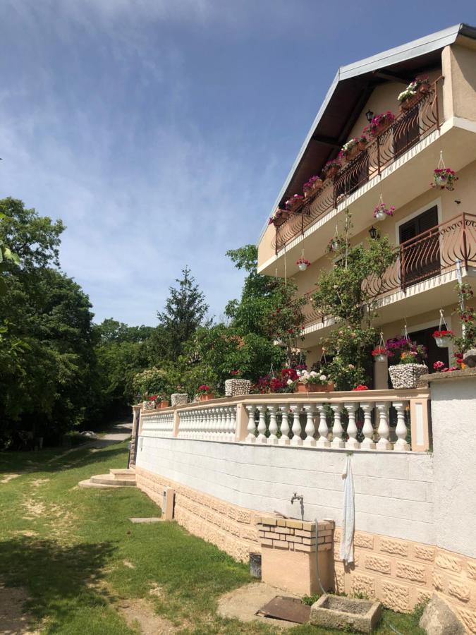 Apartman Ana Vrlika Zewnętrze zdjęcie